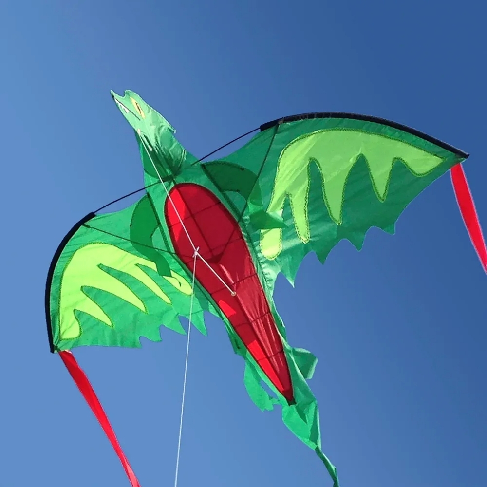 Dragon Shaped Kite